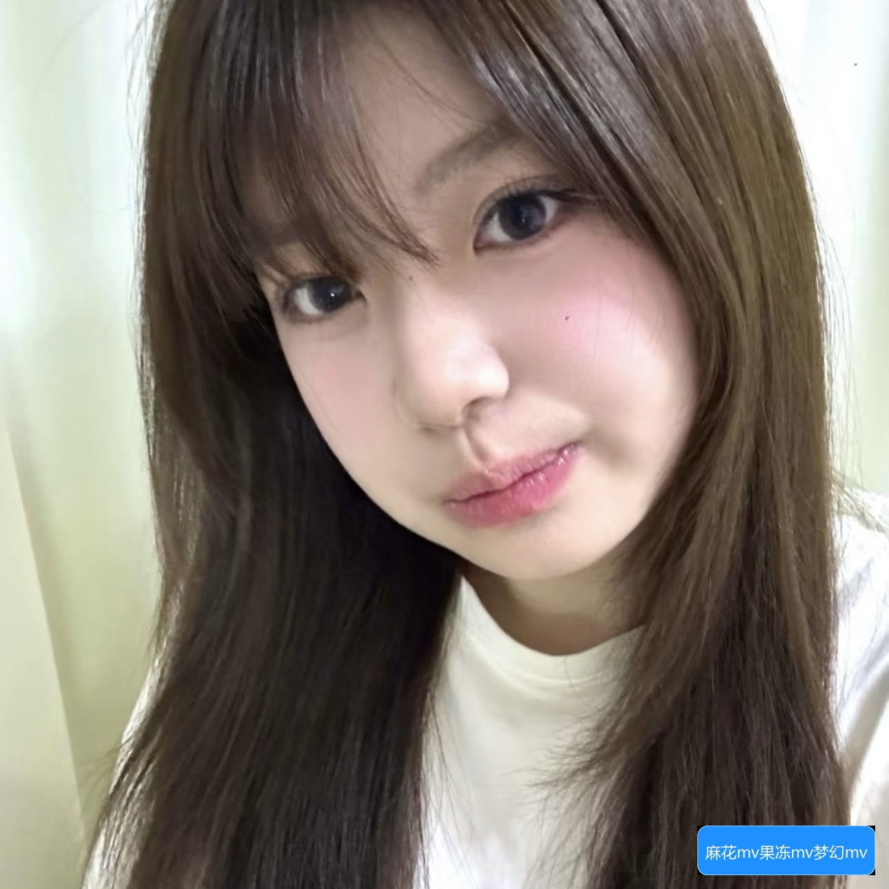 麻花MV、果冻MV、梦幻MV和蘑菇MV有什么不同之处？这些视频作品的特色和风格解析